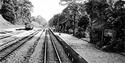 Bukit Timah